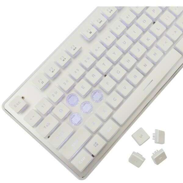 WHITE SHARK WS GK 003241 US TACHI White