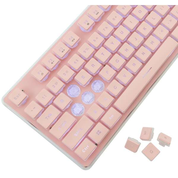 WHITE SHARK WS GK 003441 US TACHI Pink