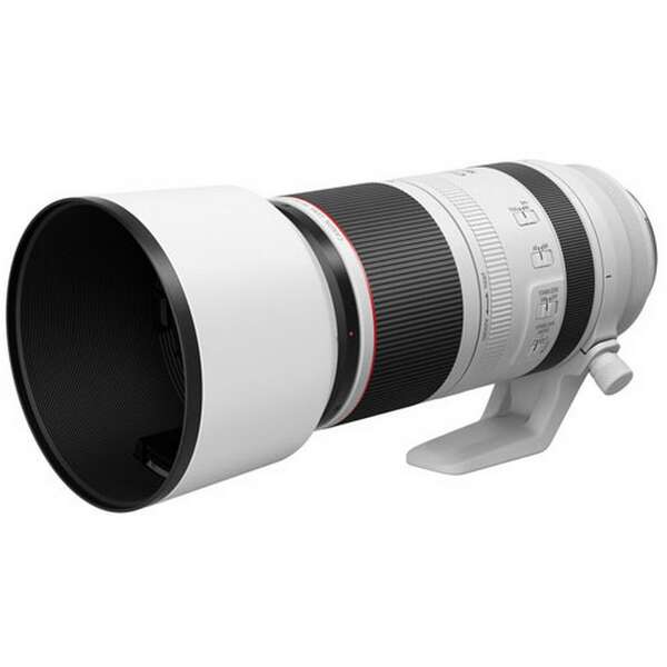 CANON Canon RF 100-500mm F4.5-7.1 L IS USM