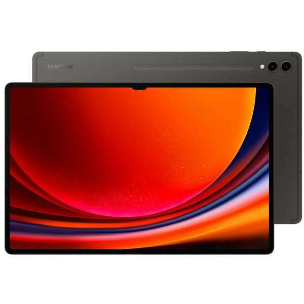 SAMSUNG Galaxy Tab S9 Ultra WiFi 12GB/256GB Gray SM-X910NZAAEUC