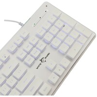 WHITE SHARK WS GK 003241 US TACHI White