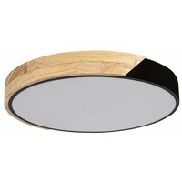 RABALUX Maple, plafonjera,mat crna, LED 24W 1760lm 4000K 42cm